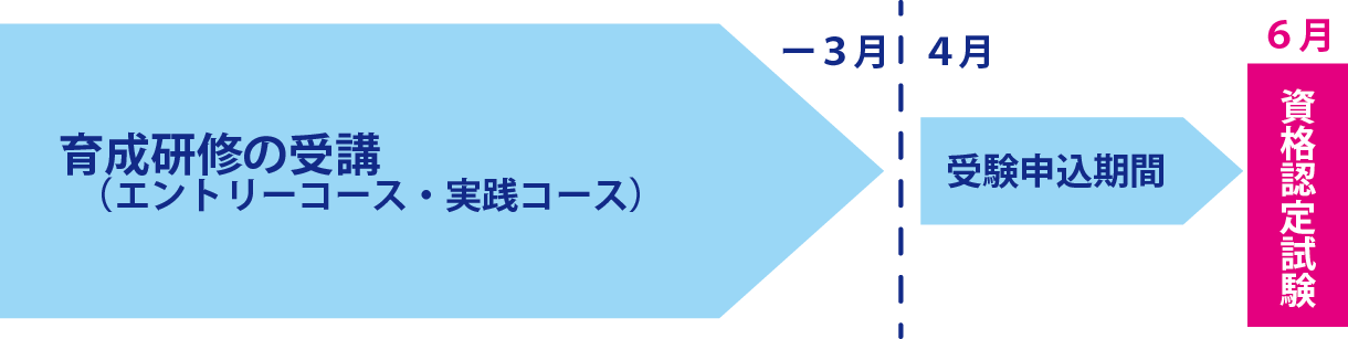 年間の流れ